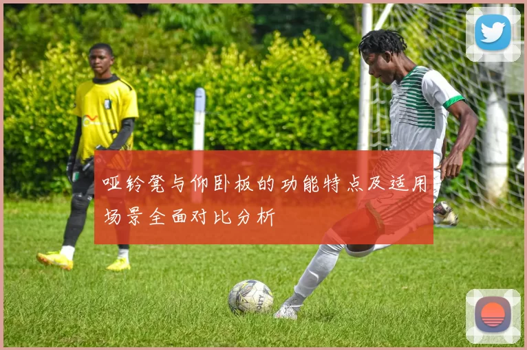 哑铃凳与仰卧板的功能特点及适用场景全面对比分析