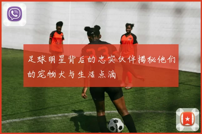 足球明星背后的忠实伙伴揭秘他们的宠物犬与生活点滴